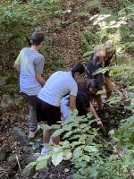 Waldtag_19
